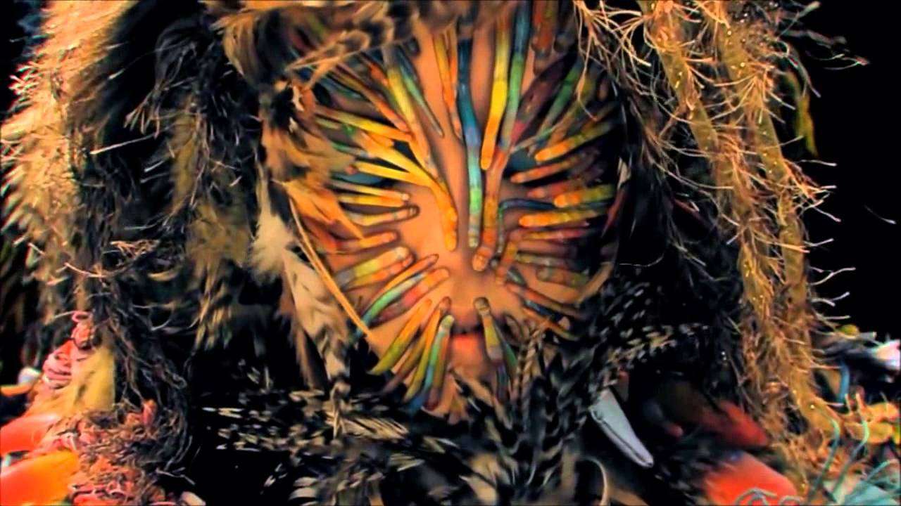 Björk - Virus - Music Video