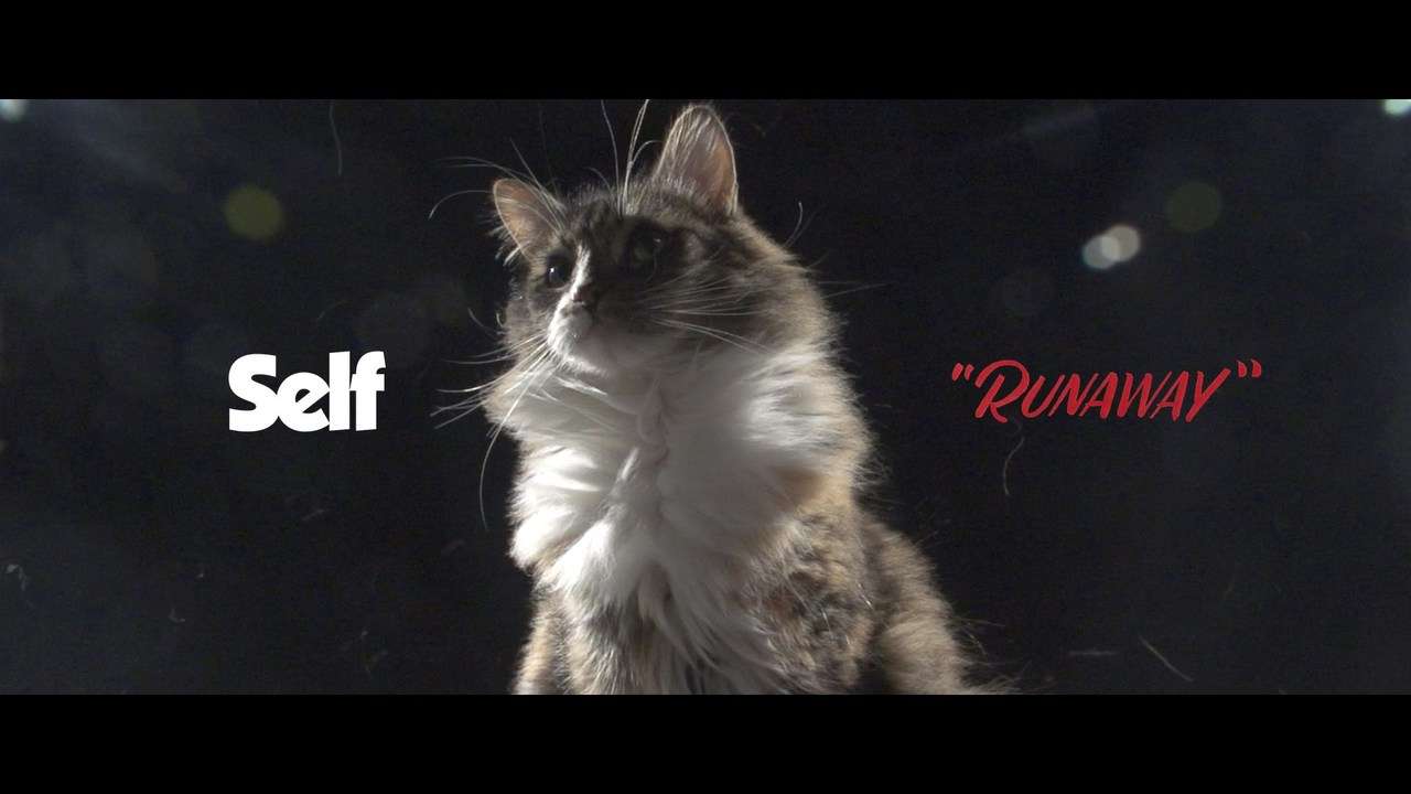 sElf - Runaway 'Official Video'