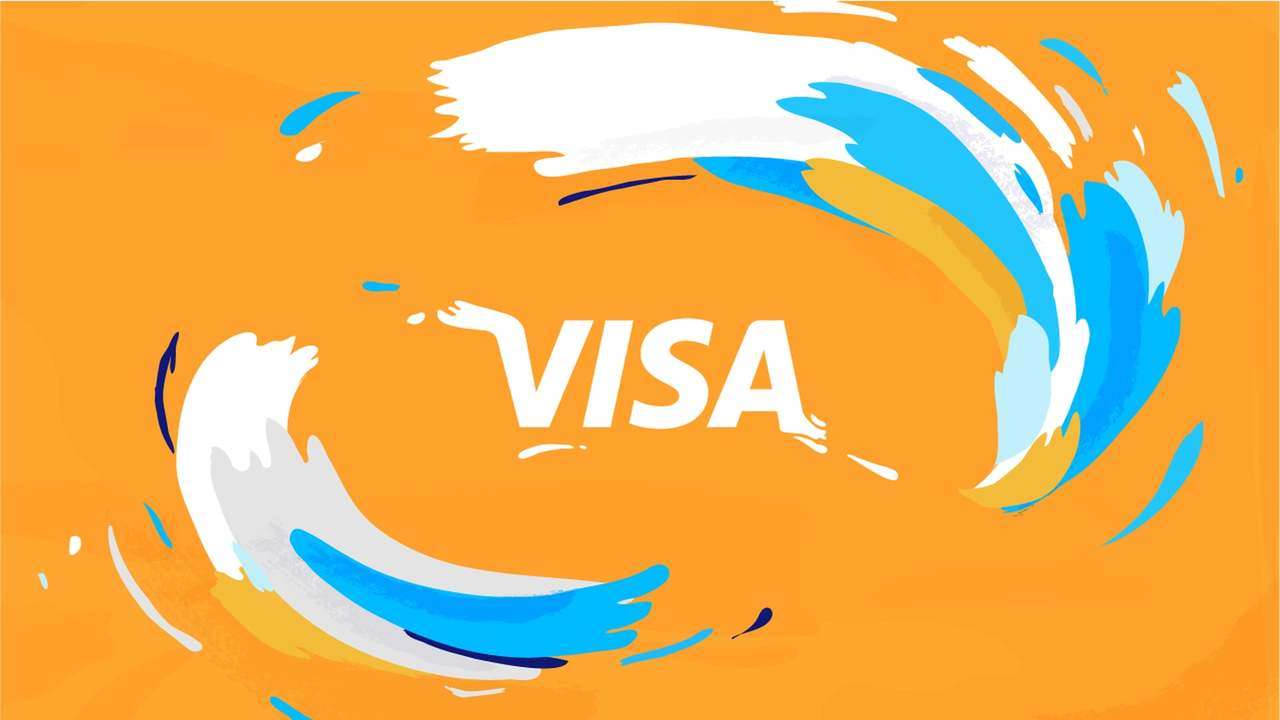 Visa Payment Controls