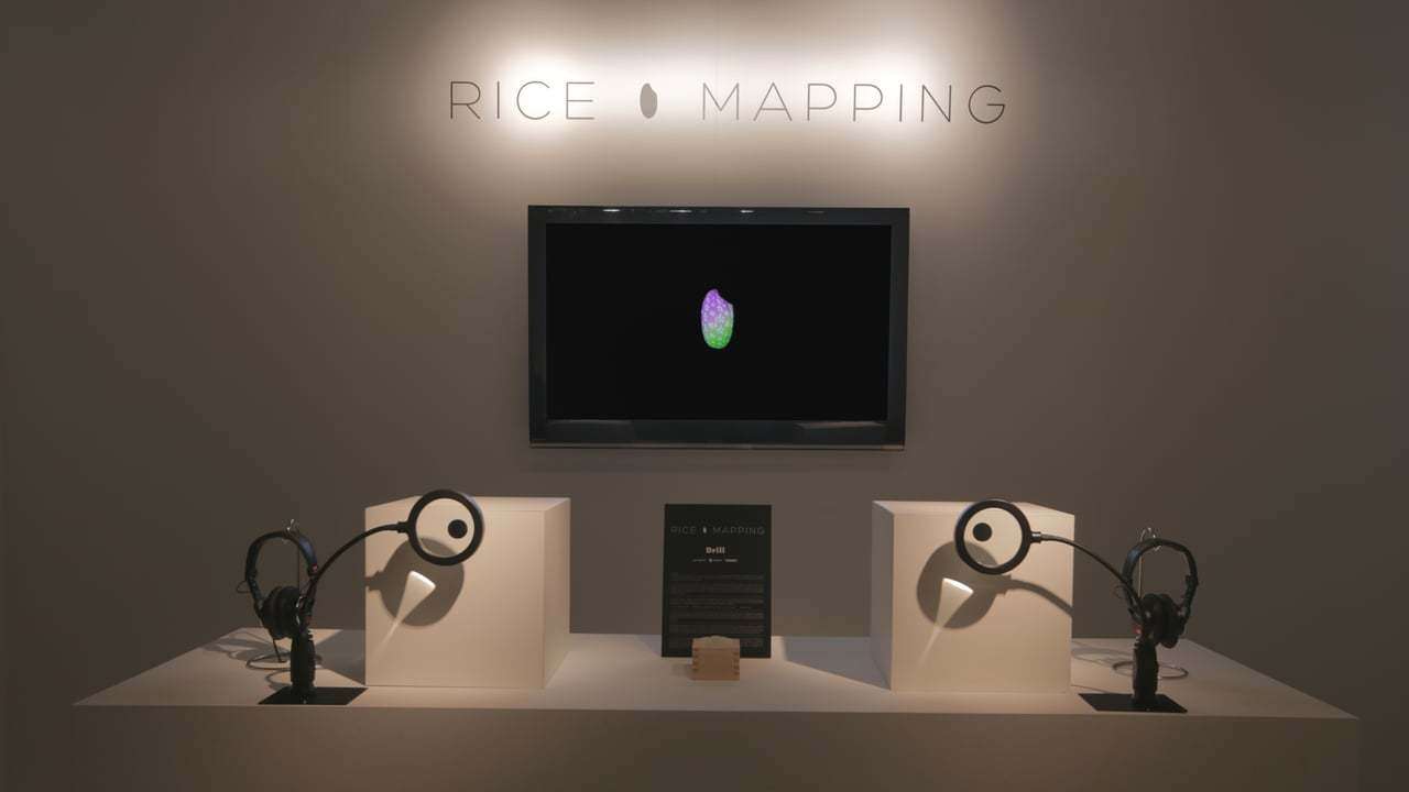 RICE MAPPING