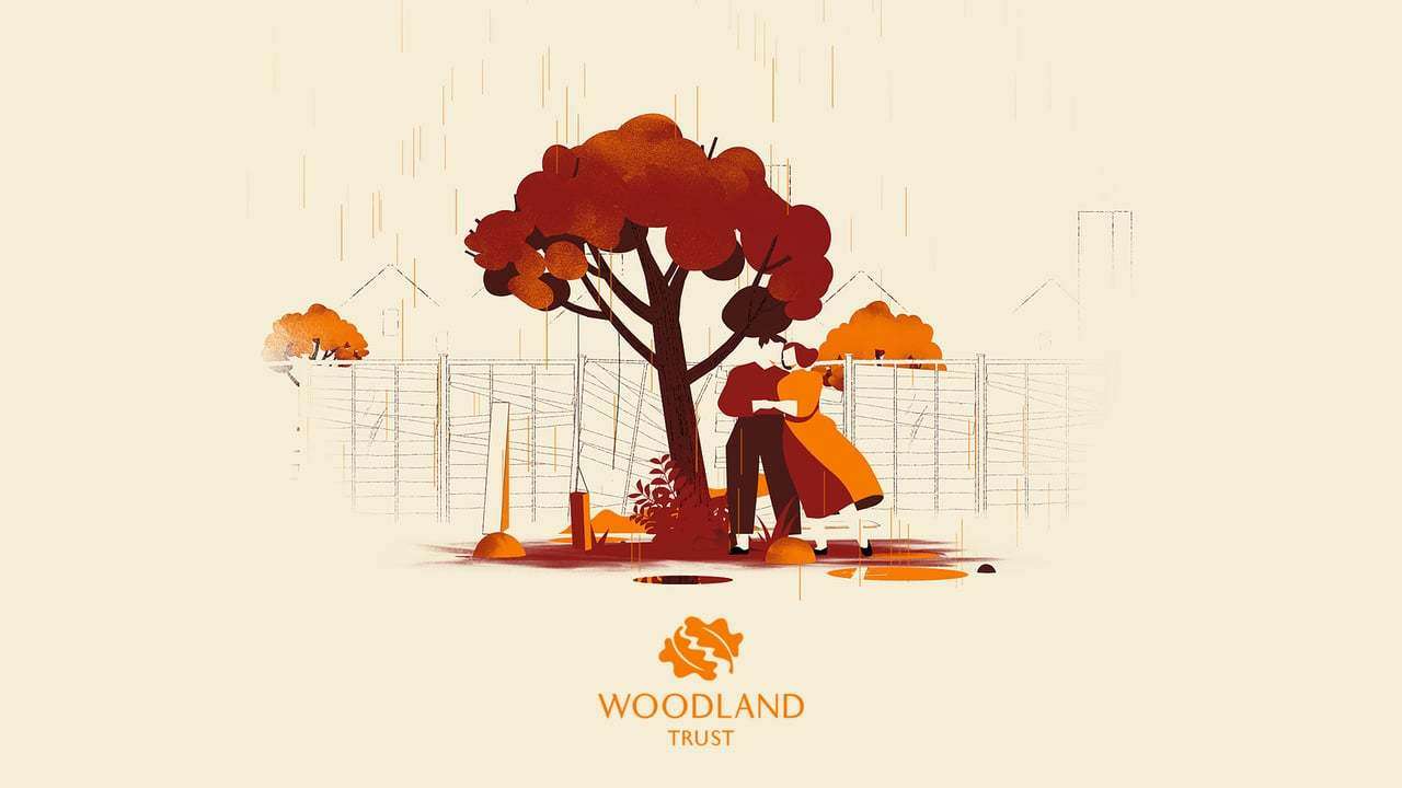 Woodland Trust - The Guardian