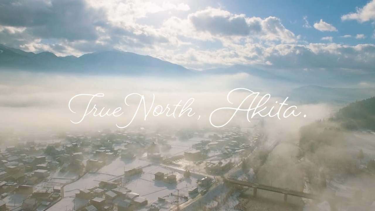 True North, Akita. #4