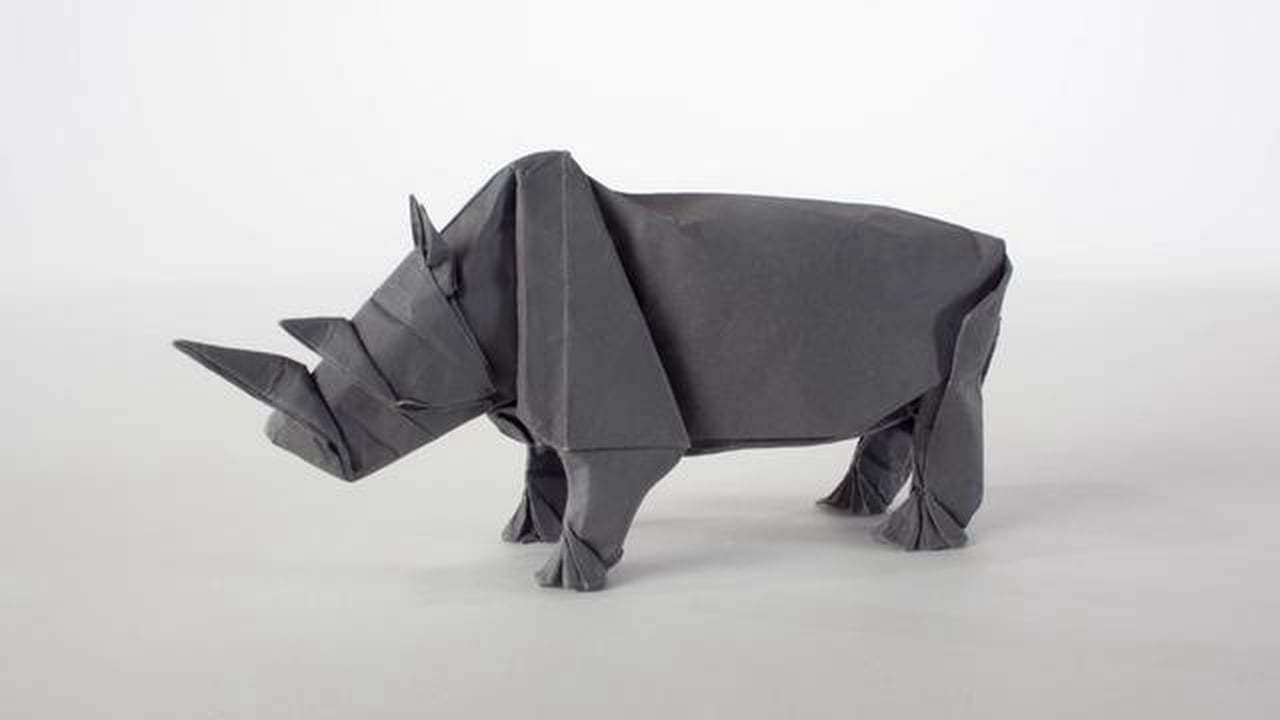 Origami Rhino Unfolding